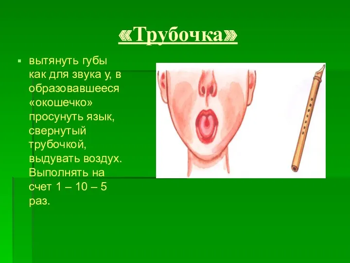 «Трубочка» вытянуть губы как для звука у, в образовавшееся «окошечко» просунуть язык, свернутый