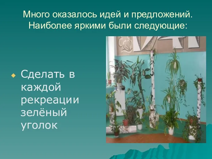 Много оказалось идей и предложений. Наиболее яркими были следующие: Сделать в каждой рекреации зелёный уголок