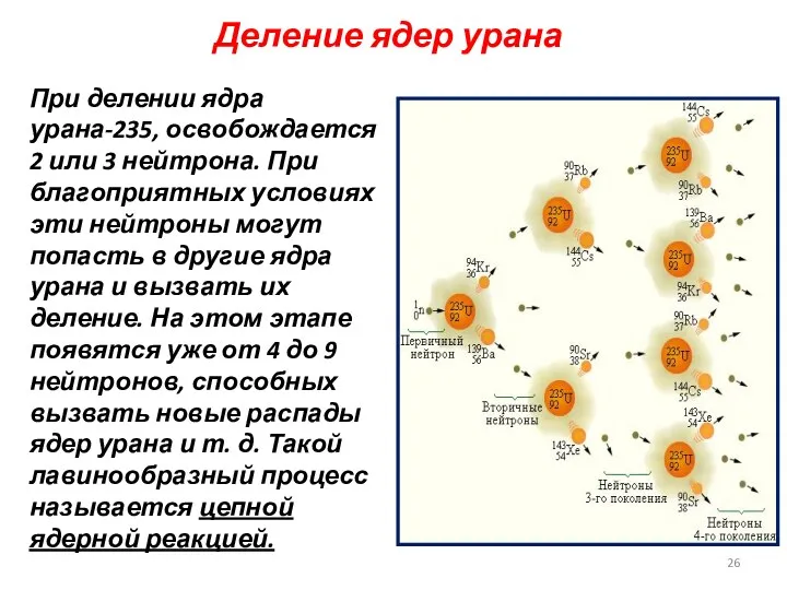 Деление ядер урана При делении ядра урана-235, освобождается 2 или