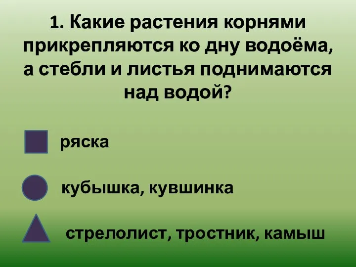 1. Какие растения корнями прикрепляются ко дну водоёма, а стебли