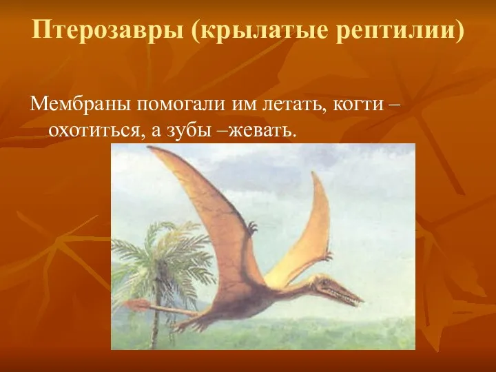 Птерозавры (крылатые рептилии) Мембраны помогали им летать, когти – охотиться, а зубы –жевать.