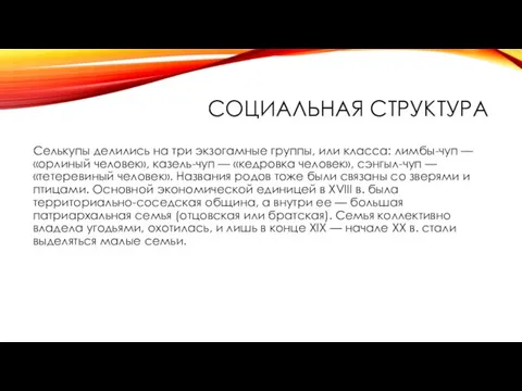 СОЦИАЛЬНАЯ СТРУКТУРА Селькупы делились на три экзогамные группы, или класса: