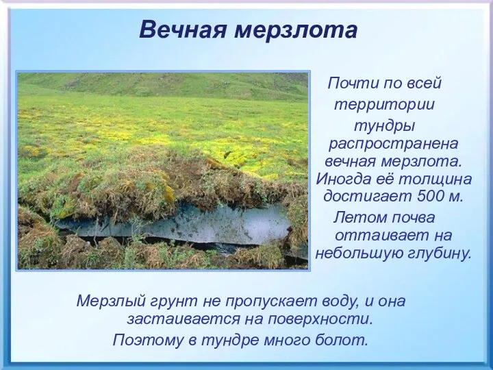 Мерзлый грунт не пропускает воду, и она застаивается на поверхности.