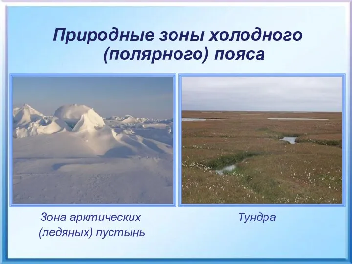Зона арктических (ледяных) пустынь Тундра Природные зоны холодного (полярного) пояса