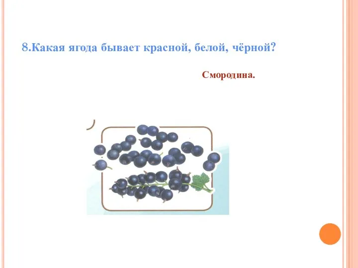 8.Какая ягода бывает красной, белой, чёрной? Смородина.