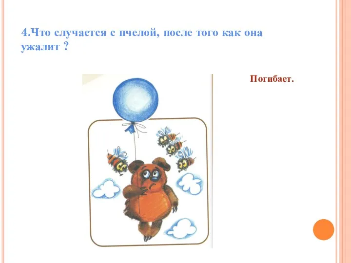 4.Что случается с пчелой, после того как она ужалит ? Погибает.