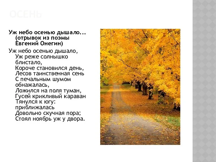 осень Уж небо осенью дышало... (отрывок из поэмы Евгений Онегин)
