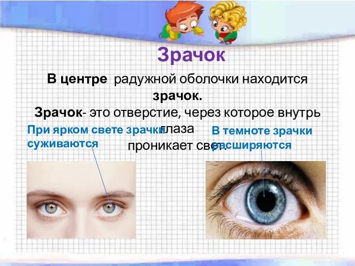 Зрачок В центре радужной оболочки находится зрачок. Зрачок- это отверстие,