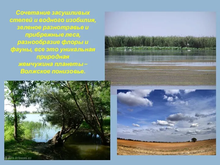 Сочетание засушливых степей и водного изобилия, зеленое разнотравье и прибрежные