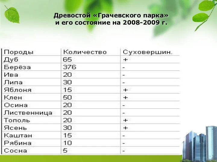 Древостой «Грачевского парка» и его состояние на 2008-2009 г.