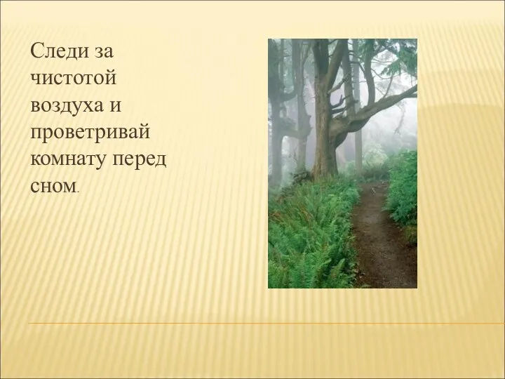 Следи за чистотой воздуха и проветривай комнату перед сном.