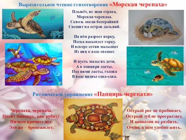 Выразительное чтение стихотворения «Морская черепаха» Плывёт, не зная страха, Морская черепаха. Сквозь океан