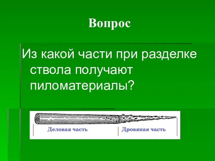 Вопрос Из какой части при разделке ствола получают пиломатериалы?