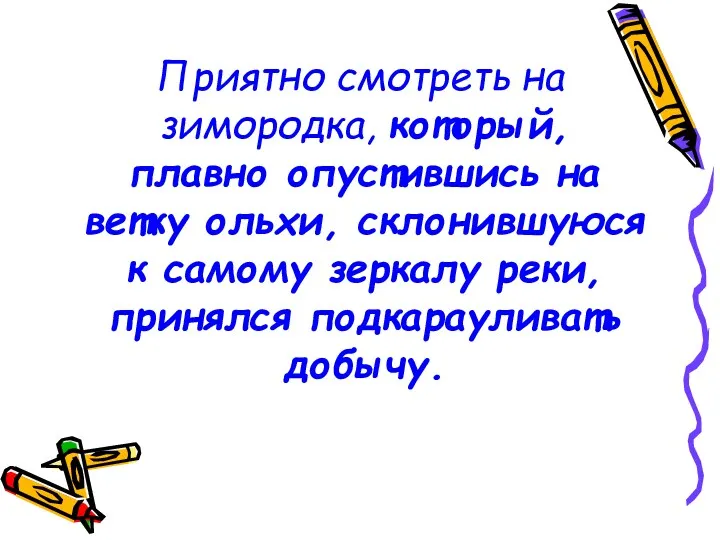 Приятно смотреть на зимородка, который, плавно опустившись на ветку ольхи,