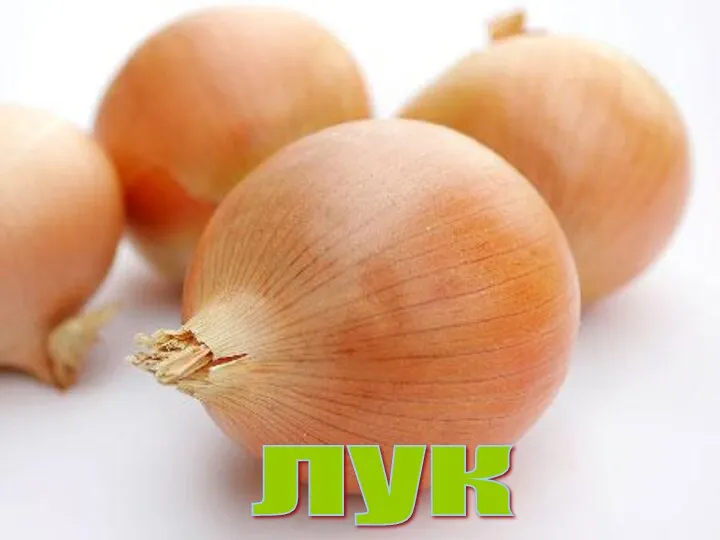 лук