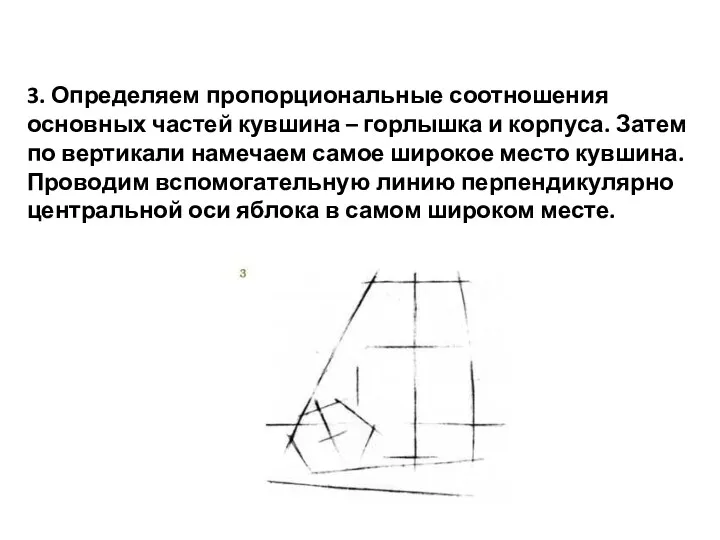 3. Определяем пропорциональные соотношения основных частей кувшина – горлышка и