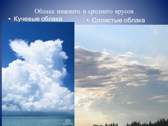 Облака нижнего и среднего ярусов Кучевые облака Слоистые облака