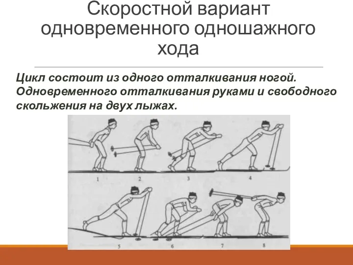 Скоростной вариант одновременного одношажного хода Цикл состоит из одного отталкивания