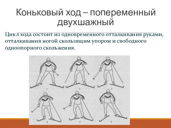 Коньковый ход – попеременный двухшажный Цикл хода состоит из одновременного