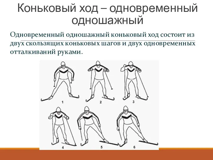 Коньковый ход – одновременный одношажный Одновременный одношажный коньковый ход состоит