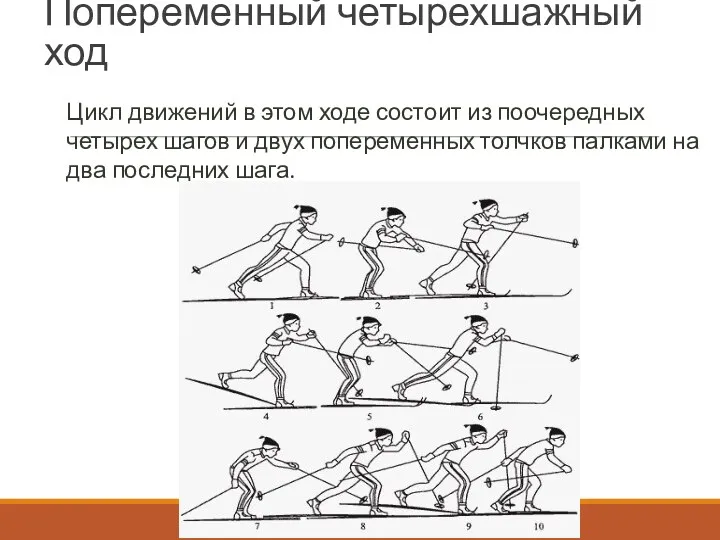 Попеременный четырехшажный ход Цикл движений в этом ходе состоит из