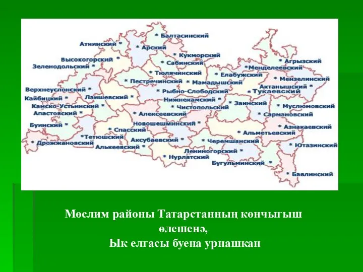 Мөслим районы Татарстанның көнчыгыш өлешенә, Ык елгасы буена урнашкан