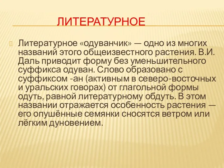 ЛИТЕРАТУРНОЕ Литературное «одуванчик» — одно из многих названий этого общеизвестного