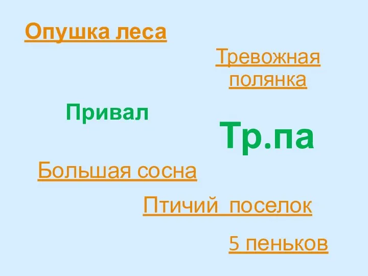 Птичий поселок 5 пеньков Опушка леса Привал Тревожная полянка Тр.па Большая сосна