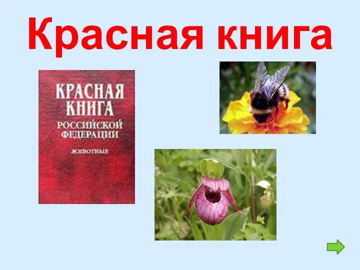 Красная книга