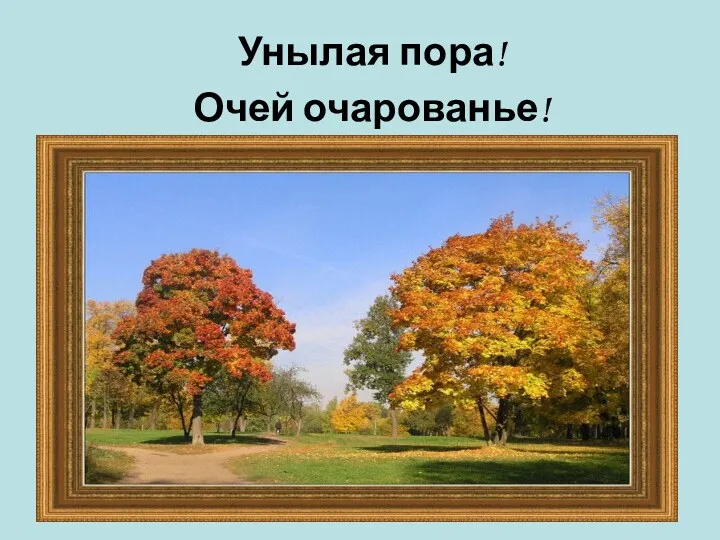 Унылая пора! Очей очарованье!