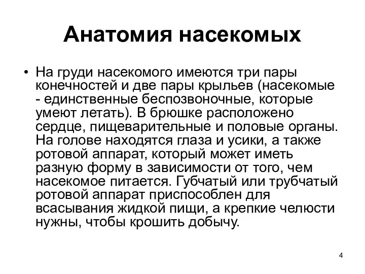 Анатомия насекомых На груди насекомого имеются три пары конечностей и