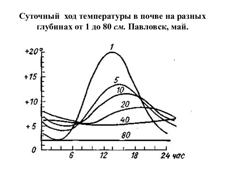 Суточный ход температуры в почве на разных глубинах от 1 до 80 см. Павловск, май.