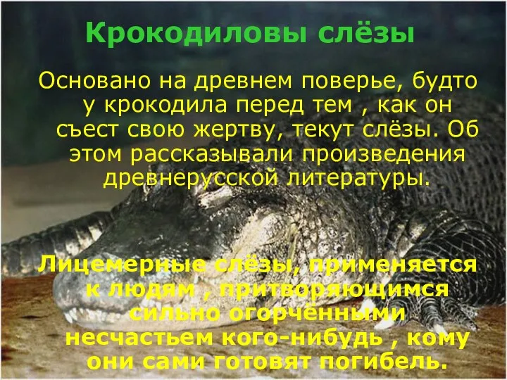 Крокодиловы слёзы Основано на древнем поверье, будто у крокодила перед