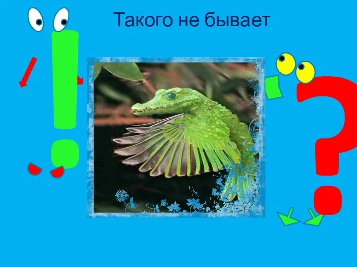 Такого не бывает ? !