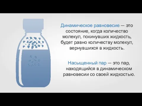 Динамическое равновесие — это состояние, когда количество молекул, покинувших жидкость,