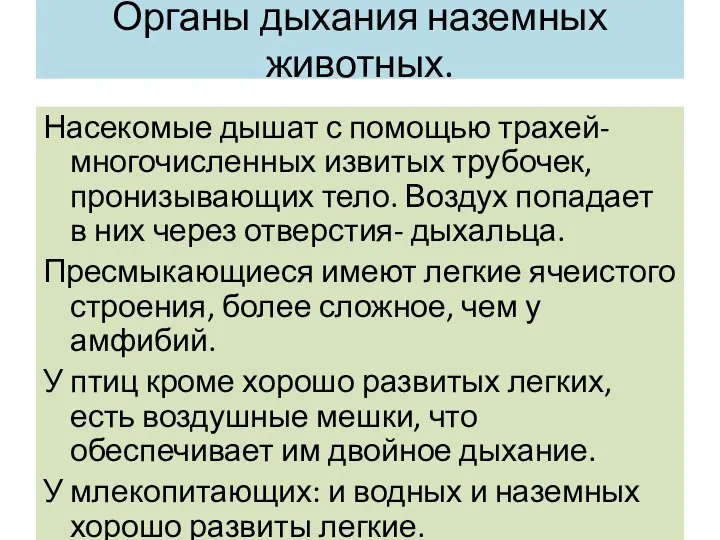 Органы дыхания наземных животных. Насекомые дышат с помощью трахей- многочисленных