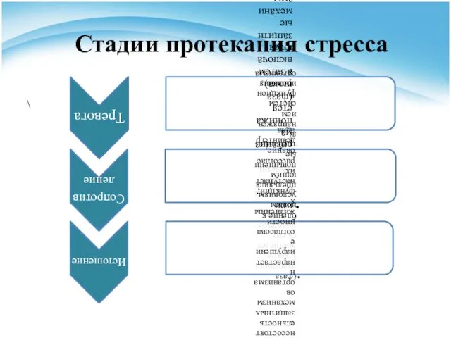 Стадии протекания стресса \