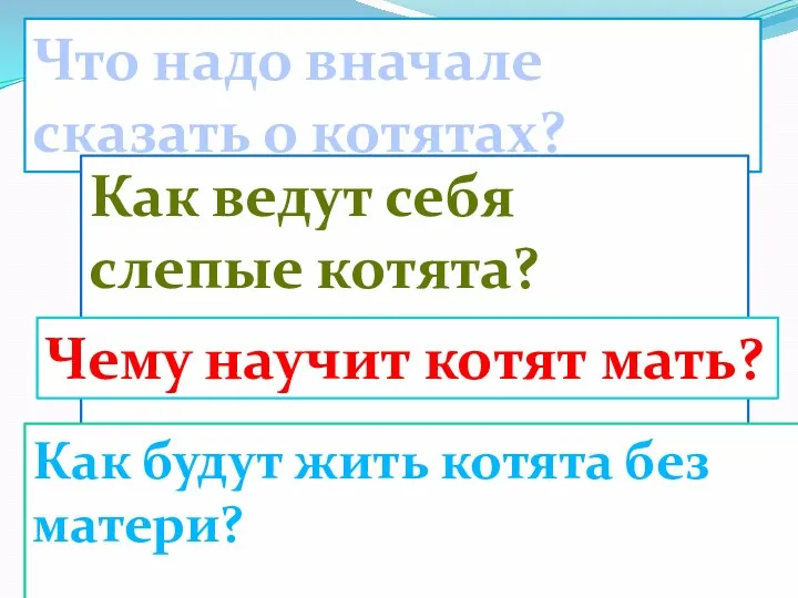 Что надо вначале сказать о котятах? Как ведут себя слепые