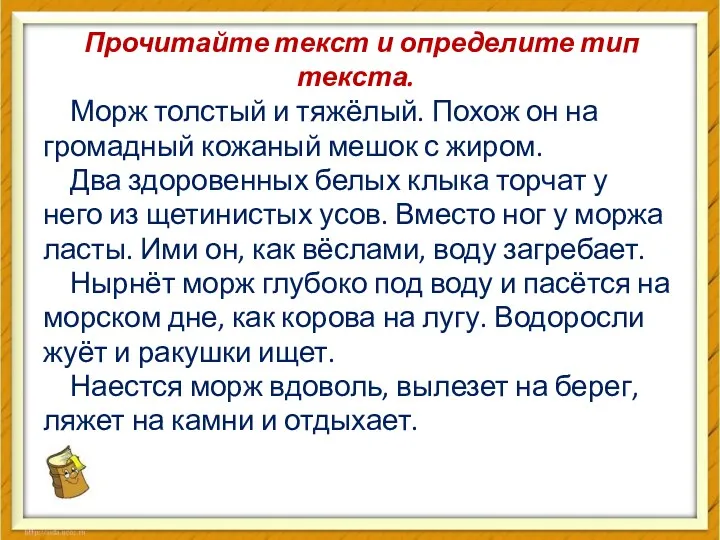 Прочитайте текст и определите тип текста. Морж толстый и тяжёлый.