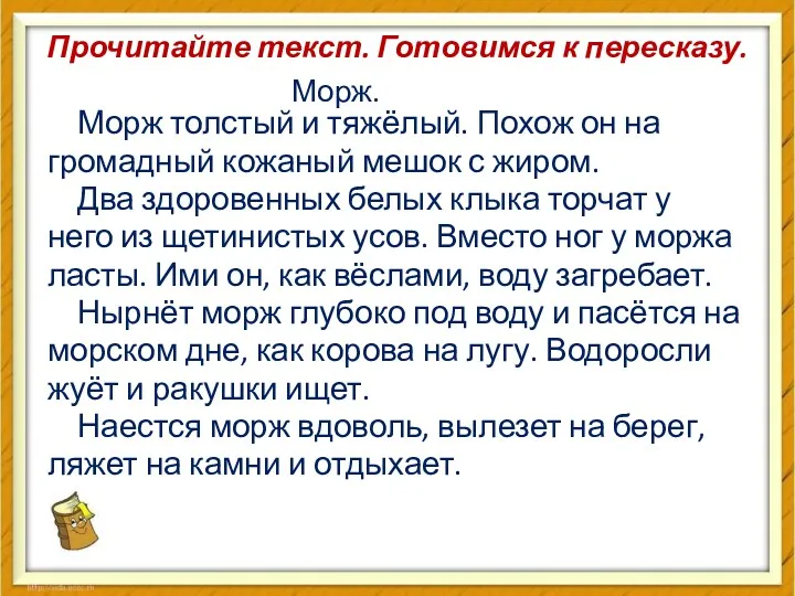 Прочитайте текст. Готовимся к пересказу. Морж толстый и тяжёлый. Похож