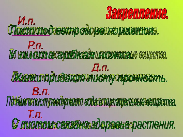 Закрепление. С листом связано здоровье растения. По ним в лист