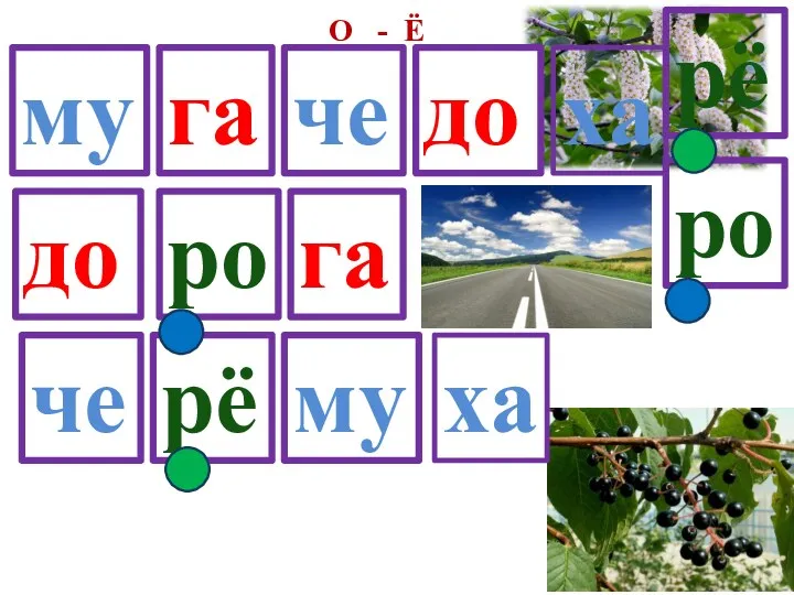 О - Ё че ха му рё ро до га