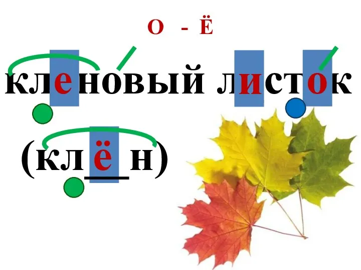 О - Ё кл_новый л_ст_к (кл__н)