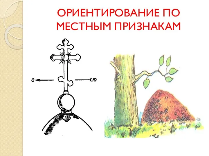 ОРИЕНТИРОВАНИЕ ПО МЕСТНЫМ ПРИЗНАКАМ