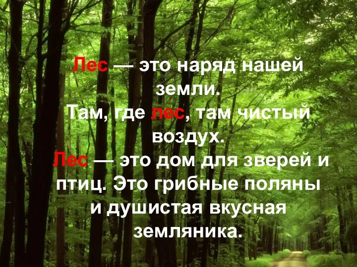 Лес — это наряд нашей земли. Там, где лес, там