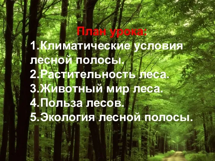 План урока: 1.Климатические условия лесной полосы. 2.Растительность леса. 3.Животный мир леса. 4.Польза лесов. 5.Экология лесной полосы.