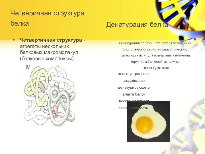 Четверичная структура белка Четвертичная структура - агрегаты нескольких белковых макромолекул