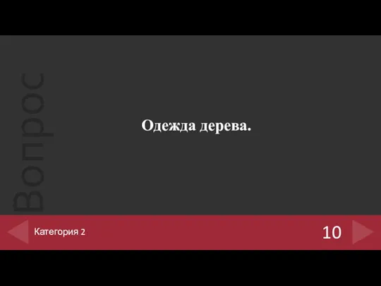 Одежда дерева. 10 Категория 2