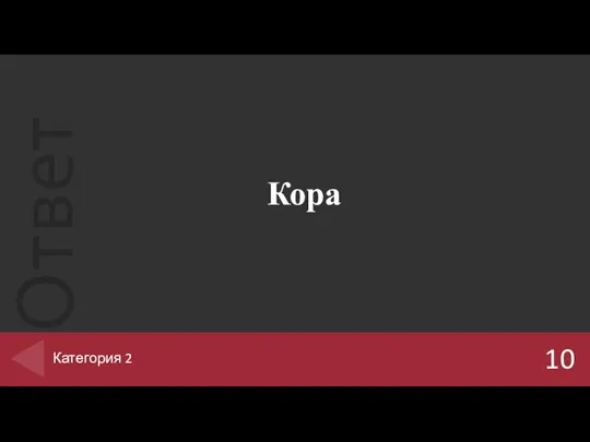 Кора 10 Категория 2