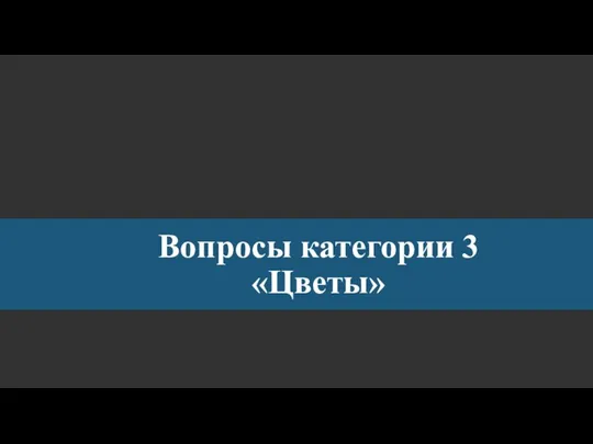 Вопросы категории 3 «Цветы»